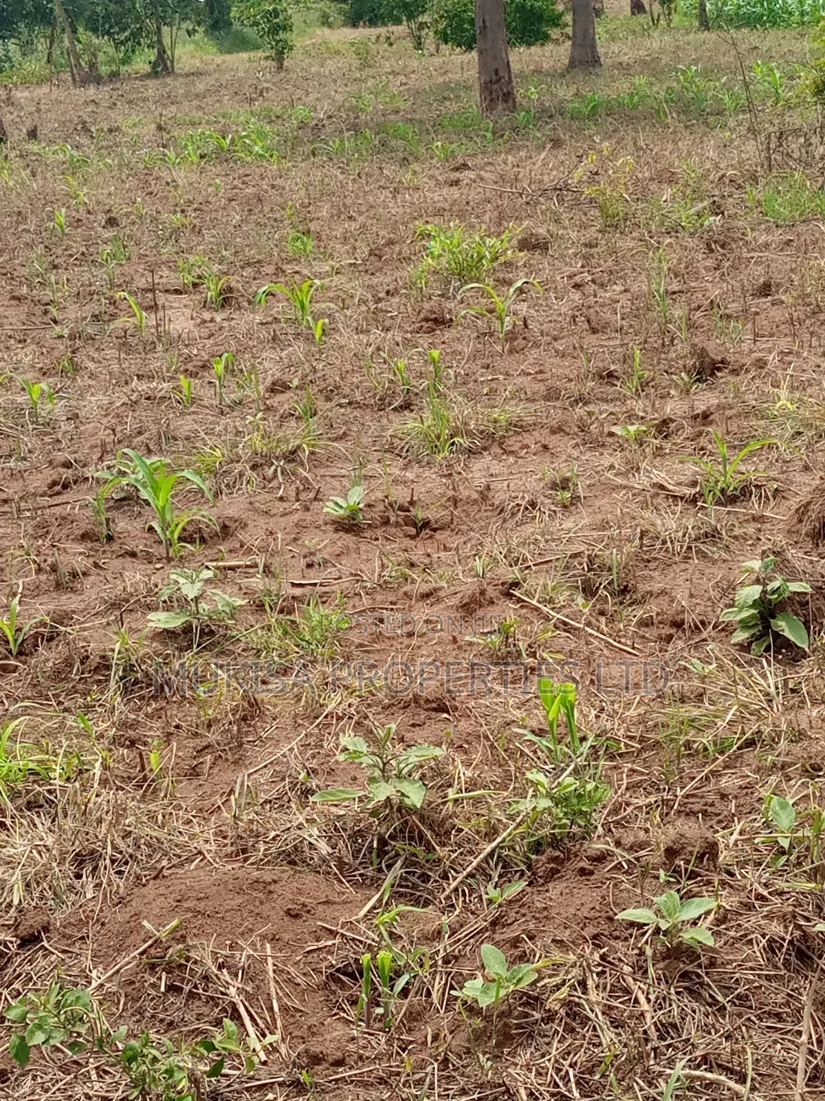 Plots for Sale