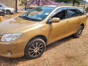 Toyota Corolla Fielder 2010 Gold