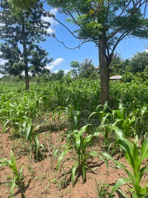 Plots for Sale