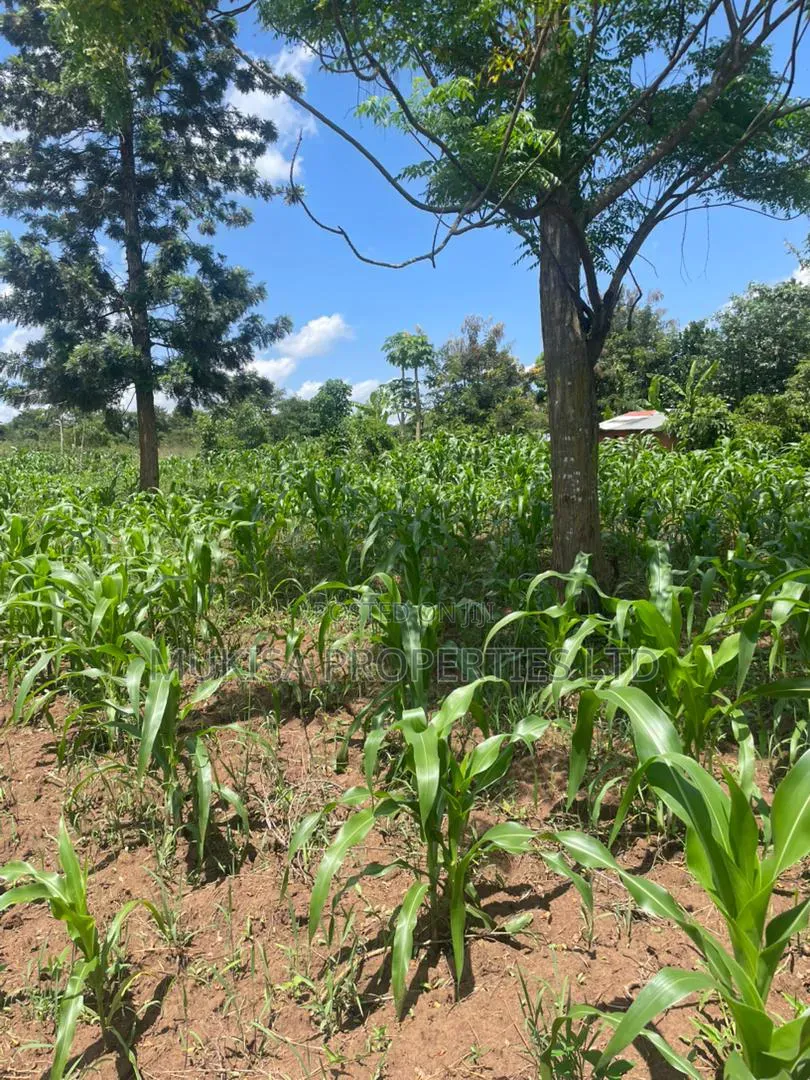 Plots for Sale