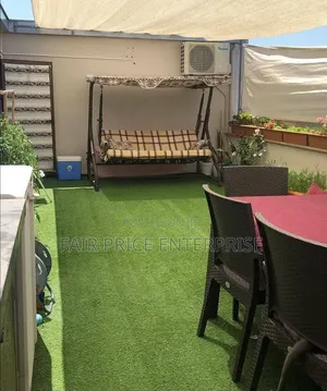 Original Grass Carpet. Full Meter