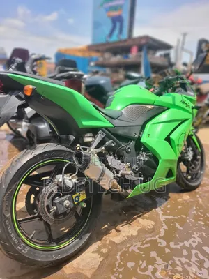Kawasaki 2011 Green