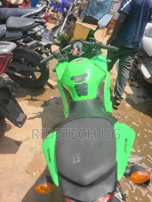 Kawasaki 2011 Green