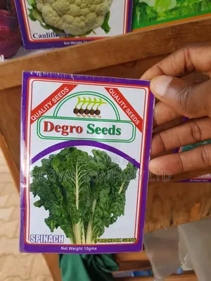 Spinach Seeds 10grams
