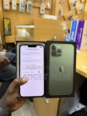 New Apple iPhone 13 Pro Max 256 GB Green
