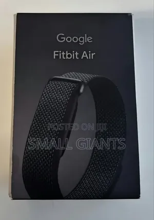 Google Fitbit Air