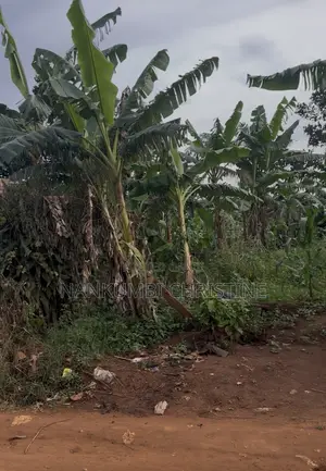 25decimal in Nyanja Kitukutwe