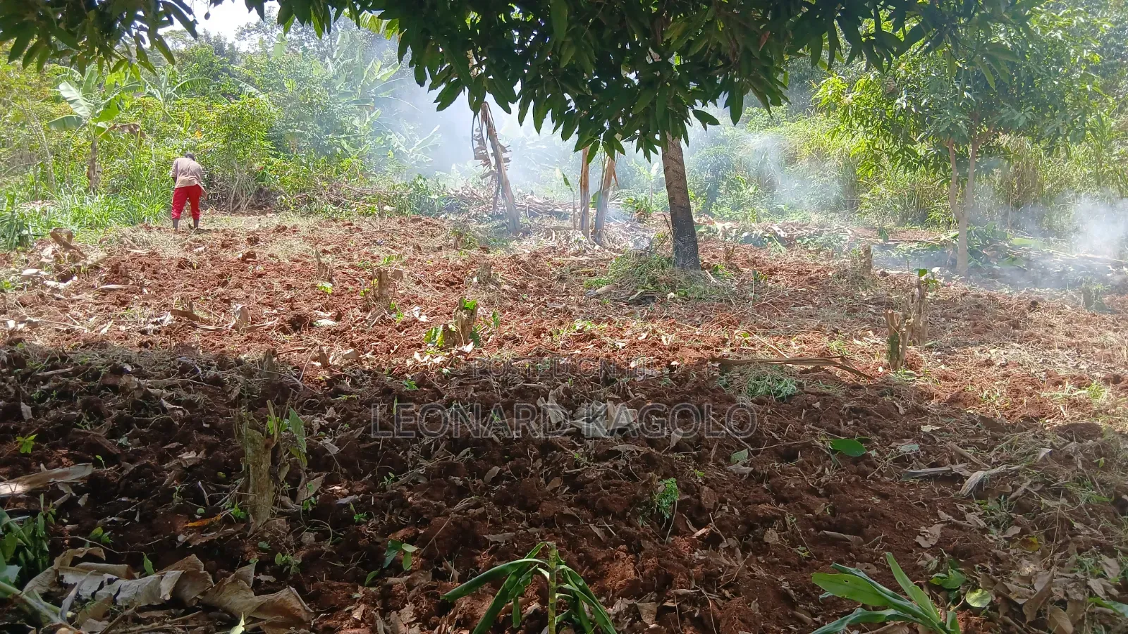 Cheap Plots on Sale at Mpambire