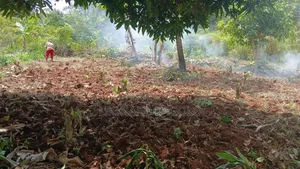 Cheap Plots on Sale at Mpambire