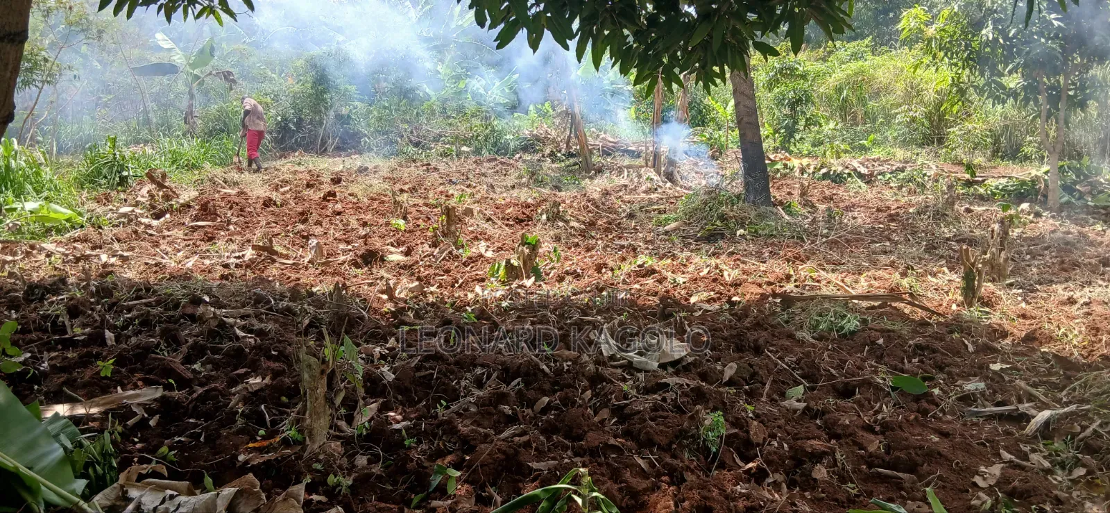 Cheap Plots on Sale at Mpambire