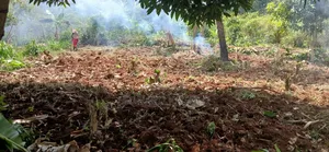 Cheap Plots on Sale at Mpambire