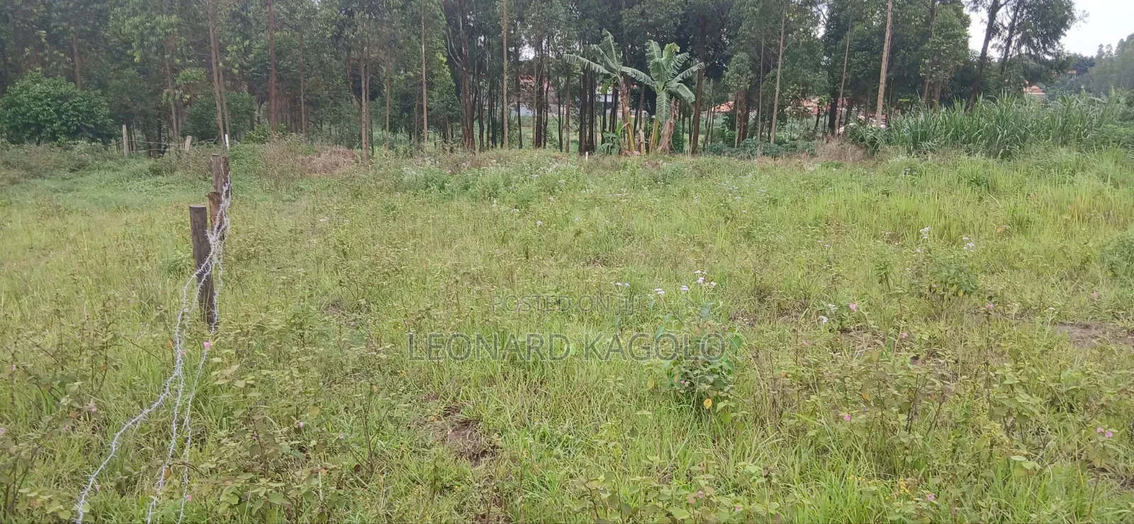 Cheap Plots on Sale at Mpambire