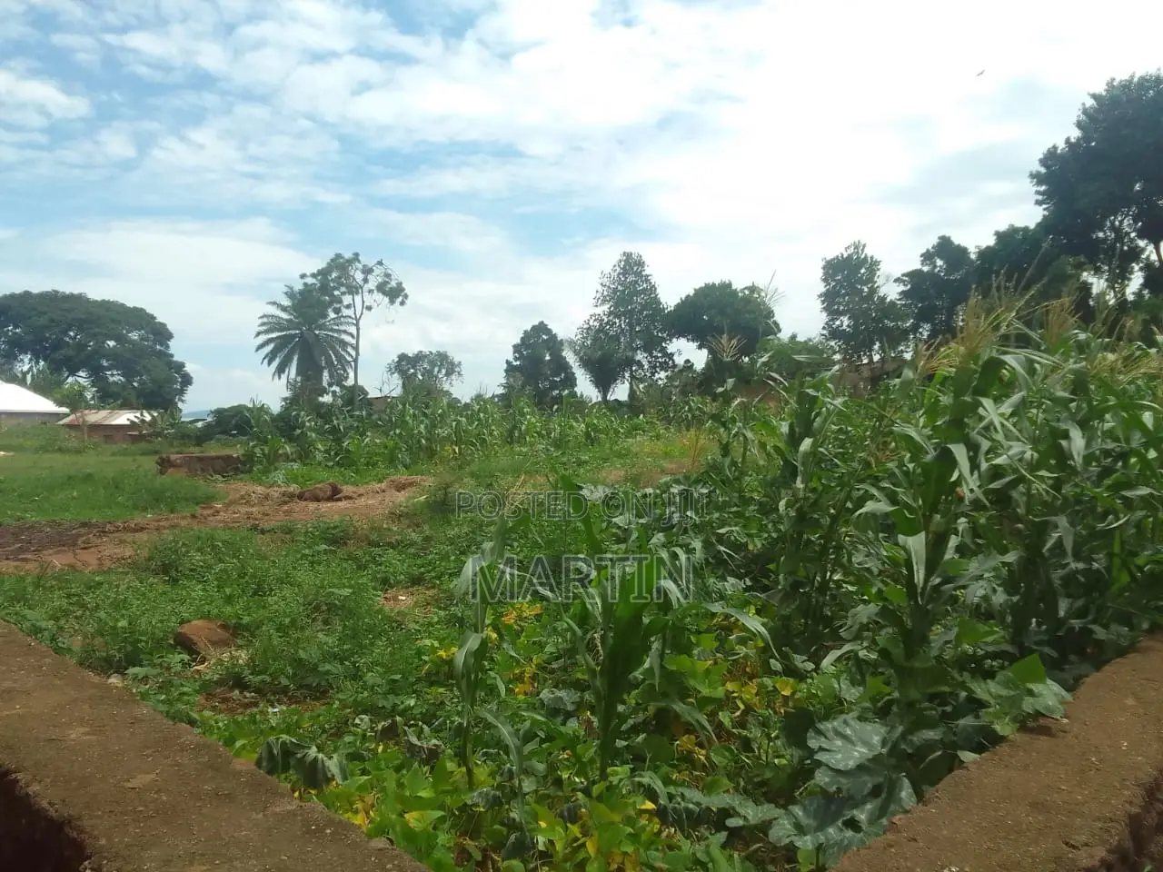 Plot for Sale 200 Meters From the Shores of Lake Victoria