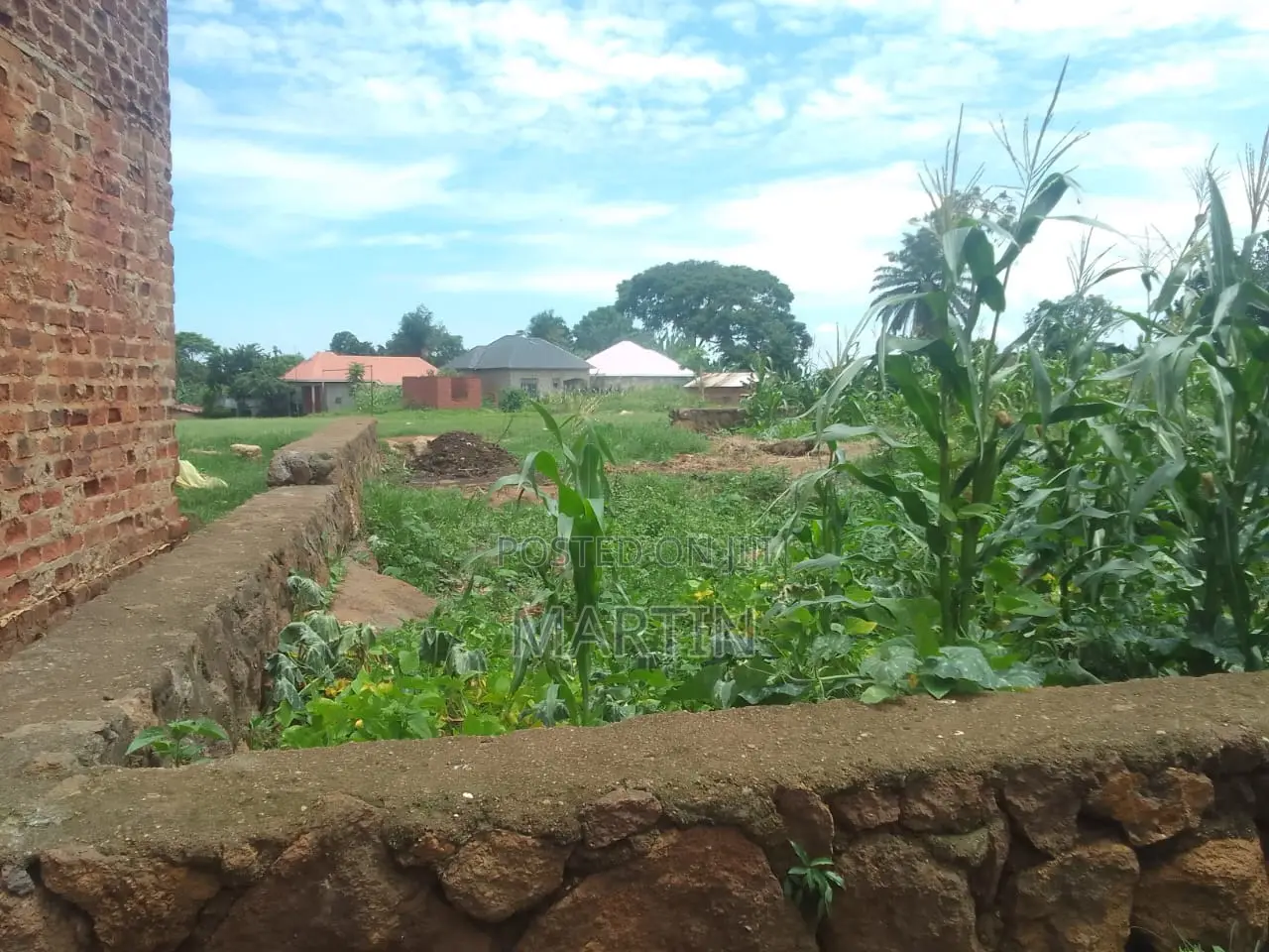 Plot for Sale 200 Meters From the Shores of Lake Victoria