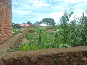 Plot for Sale 200 Meters From the Shores of Lake Victoria