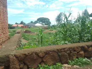 Plot for Sale 200 Meters From the Shores of Lake Victoria