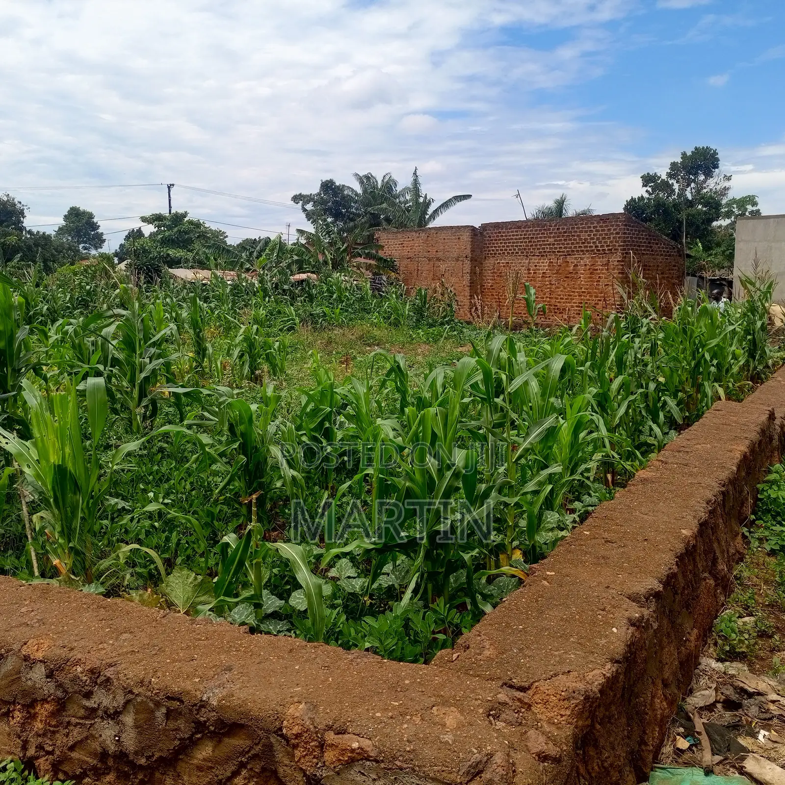 Plot for Sale 200 Meters From the Shores of Lake Victoria