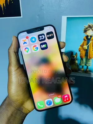 Apple iPhone 12 Pro Max 256 GB Gray