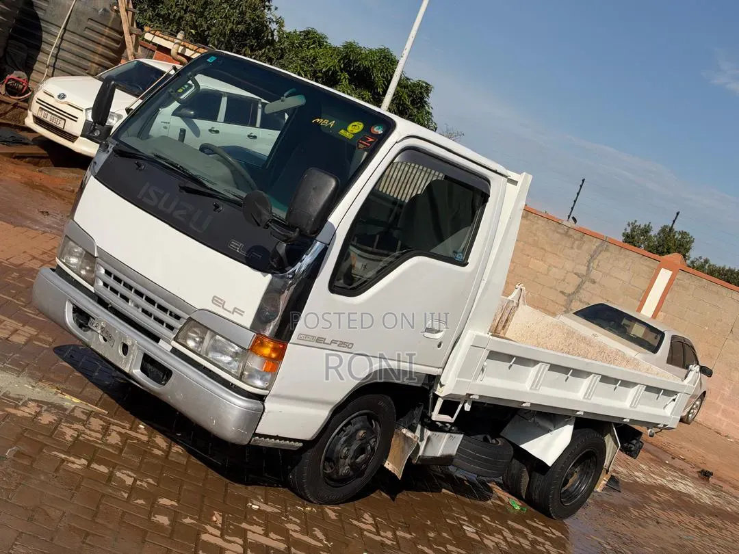 Isuzu 1992 White