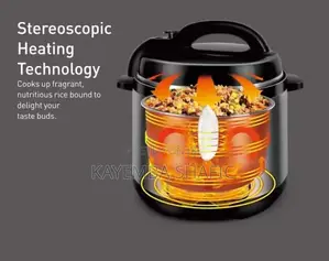 Sonifer 8L Automatic Electric Pressure Cooker & Rice Cooker