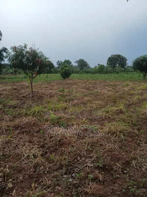 1 Acre of Land for Sale
