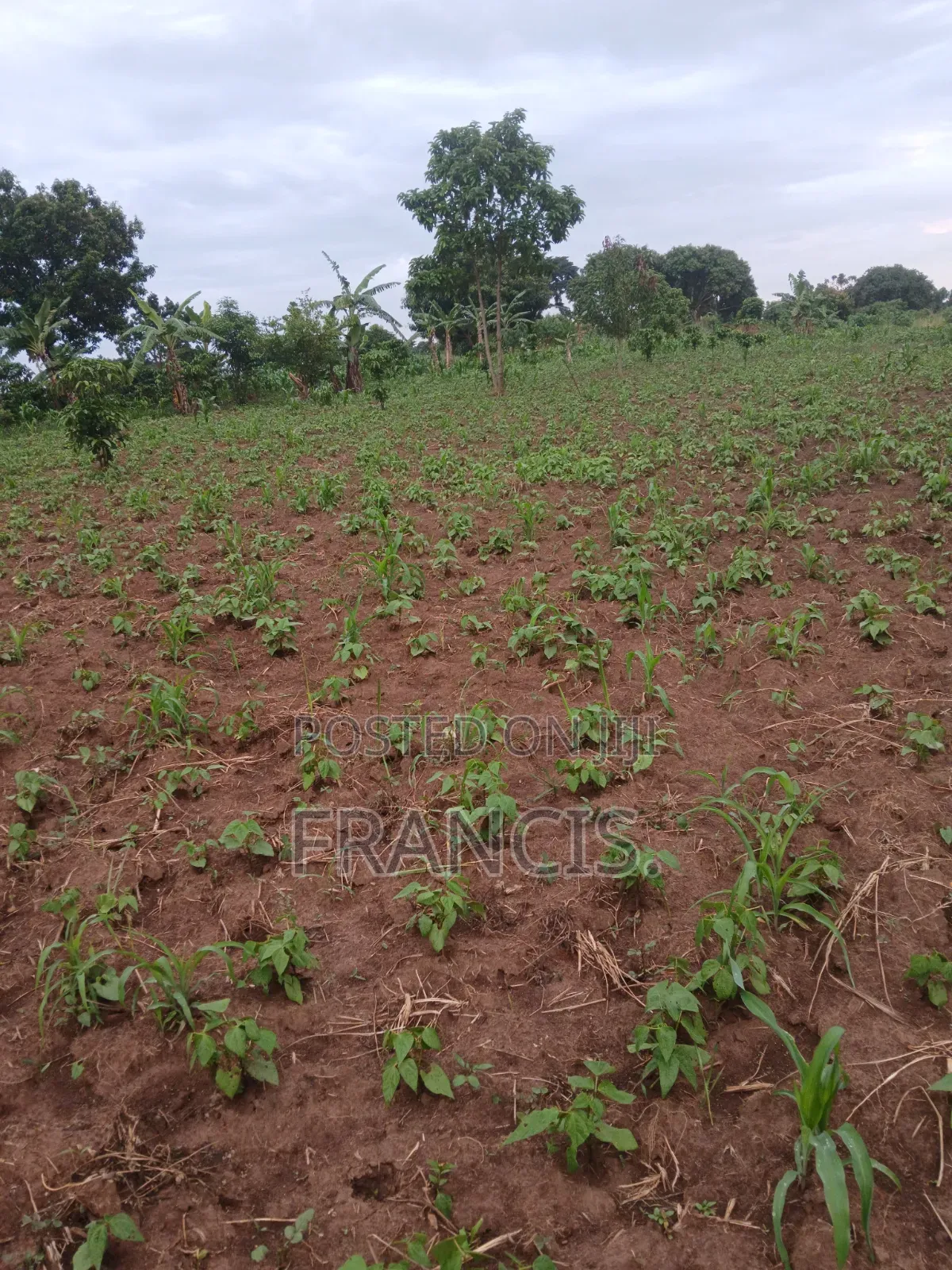 1 Acre of Land for Sale