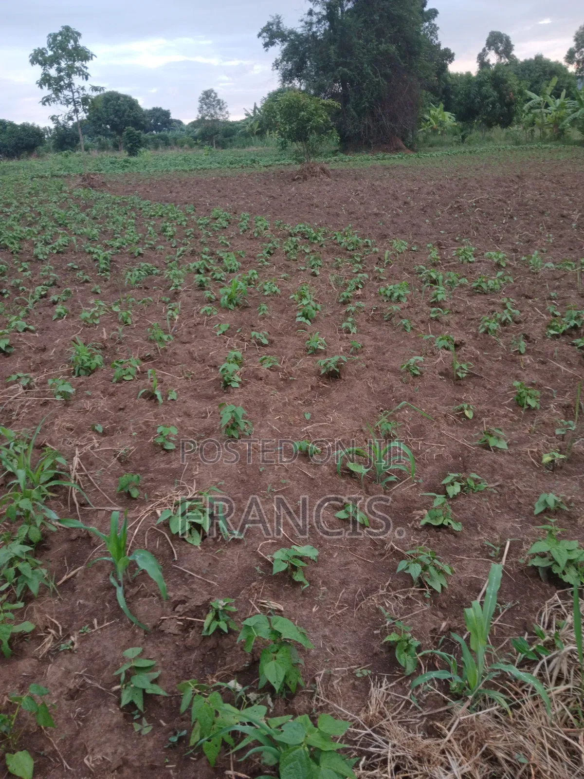 1 Acre of Land for Sale