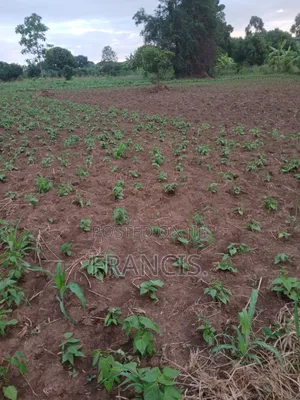 1 Acre of Land for Sale