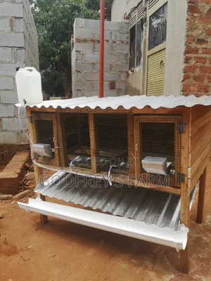 Rabbit Cages