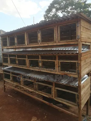 Rabbit Cages