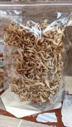 Dried Oyster Mushrooms