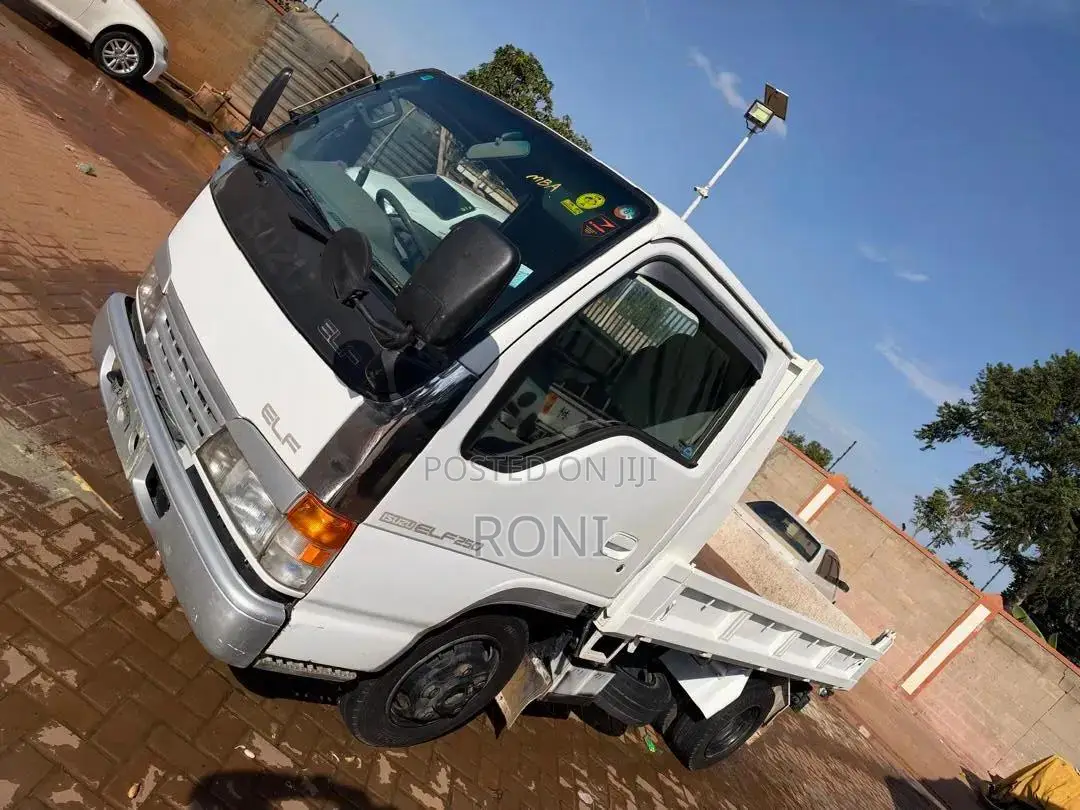 Isuzu 1992 White