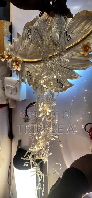 LED Decorative Lights Indoor/ Outdoor