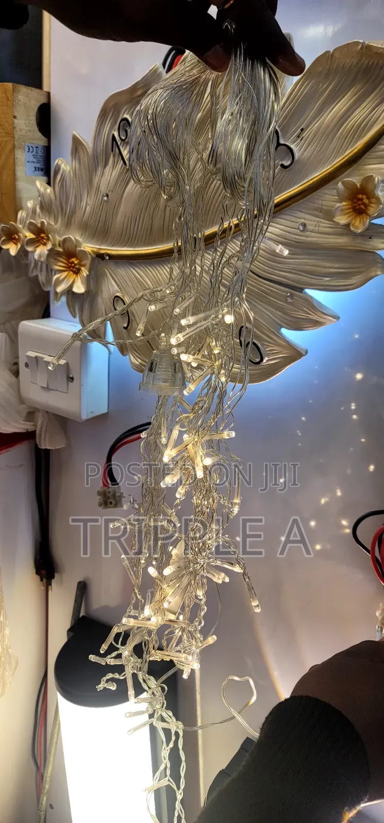 LED Decorative Lights Indoor/ Outdoor