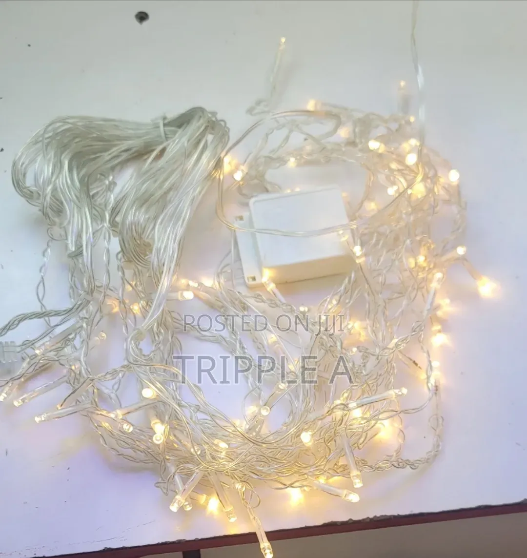 LED Decorative Lights Indoor/ Outdoor