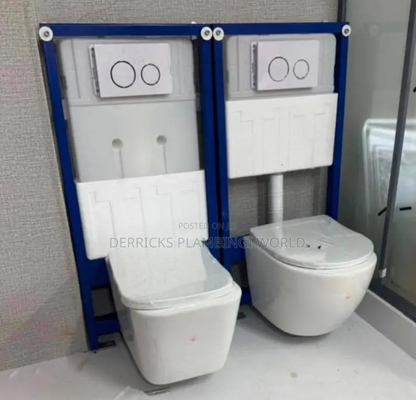 Concealed Toilet