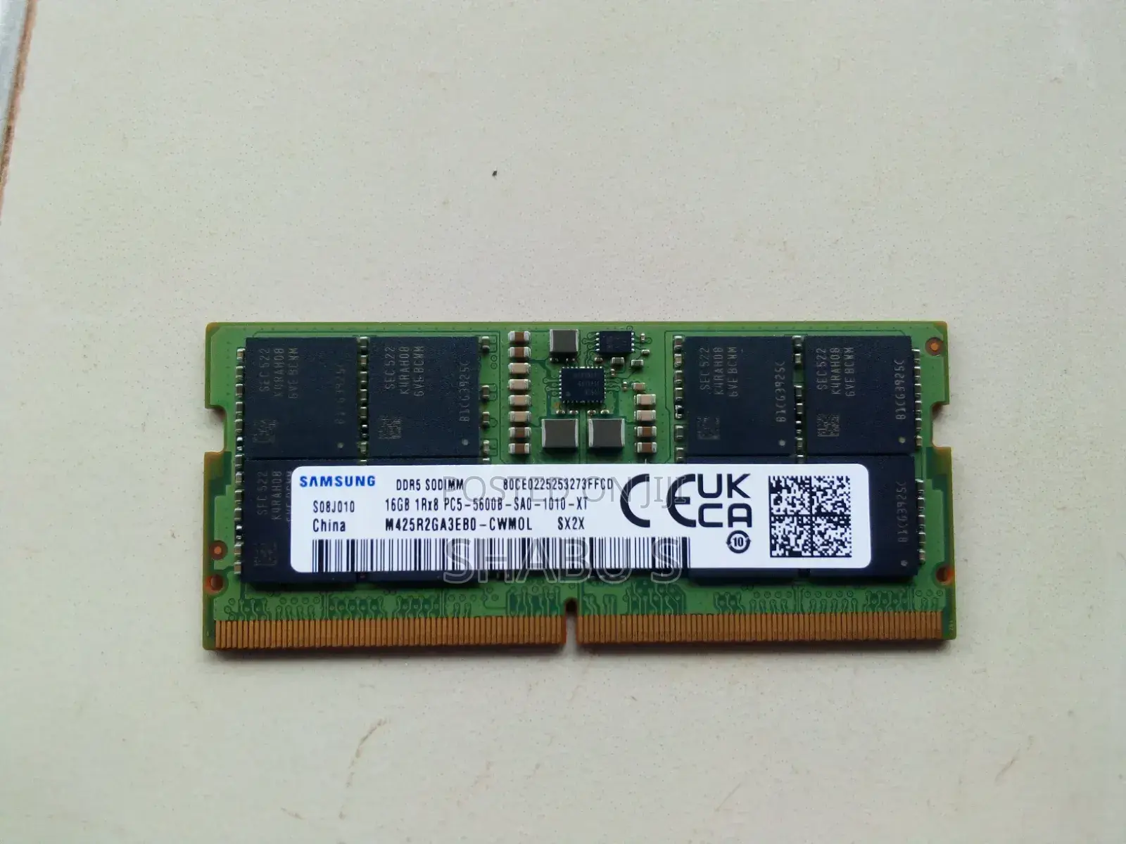 16gb DDR 5 Ram
