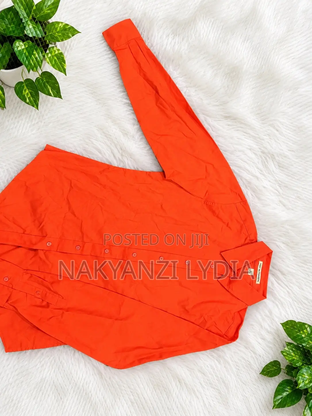 Office Shirt for Ladies