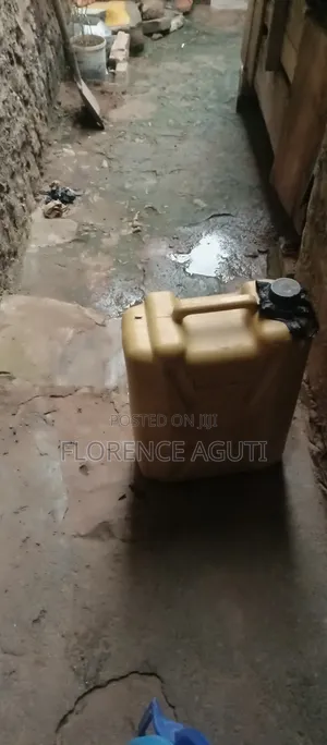 Rabbit Urine