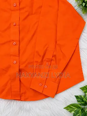 Office Shirts for Ladies