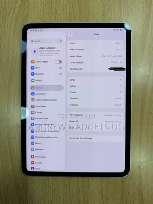Apple iPad Pro 11 (2024) 256 GB Silver