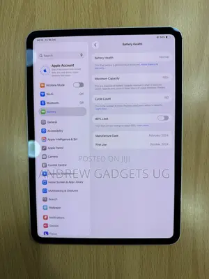 Apple iPad Pro 11 (2024) 256 GB Silver