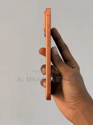 Apple iPhone 17 Pro Max 256 GB Orange