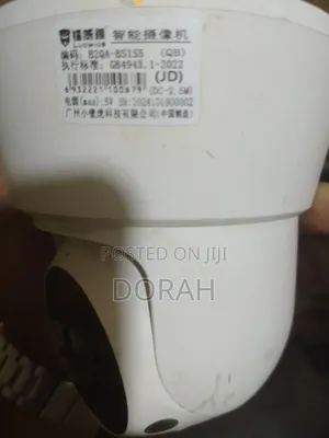 Louvise Indoor Camera