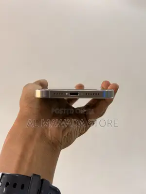 Apple iPhone 15 Pro Max 256 GB Silver