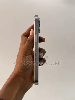 Apple iPhone 15 Pro Max 256 GB Silver