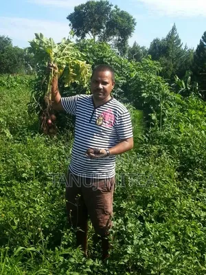 7acres(titled) Land in Zirobwe for Sale /Lease