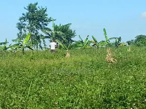 7acres(titled) Land in Zirobwe for Sale /Lease