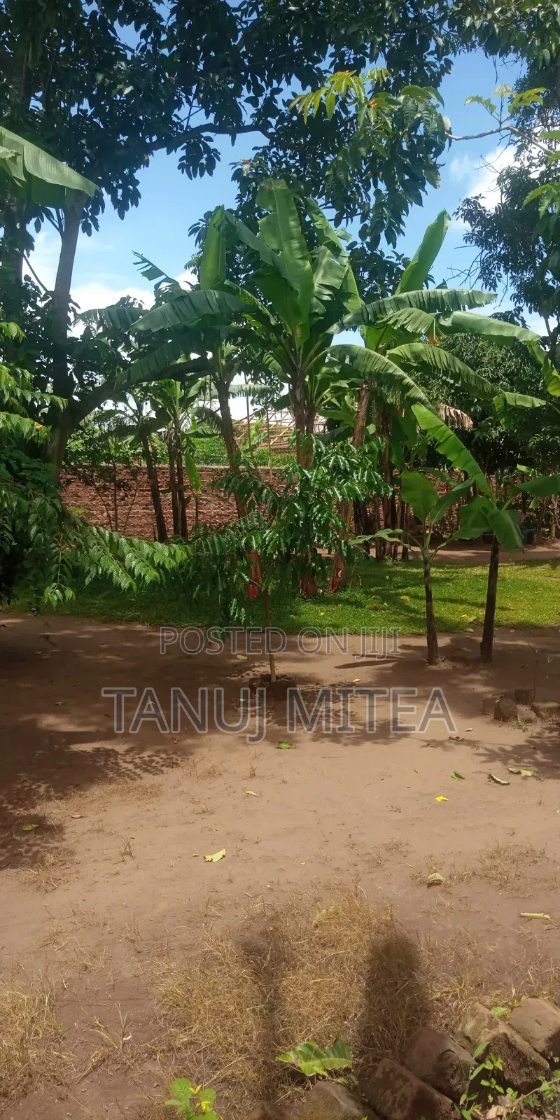 2000 SQF Land Near St Cyprian High Skull