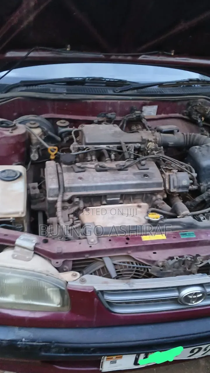 Toyota Corolla 1998 Maroon